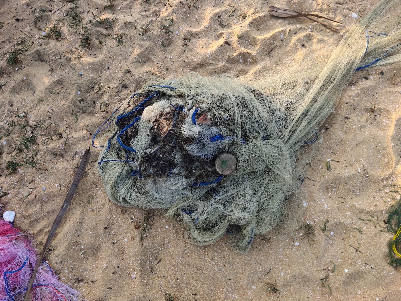 மீனவர் ஒருவரின் வாடி தீயிட்டு எரிப்பு