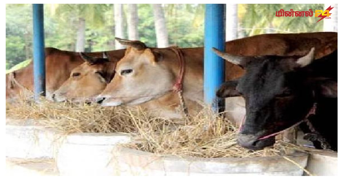 14,000 கால்நடை பண்ணைகள் மூடப்பட்டுள்ளது