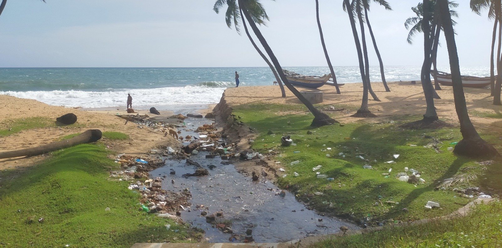 கடற்கரையோரங்களில் உள்ள பிளாஸ்டிக் கழிவுகள் அகற்ற கோரிக்கை