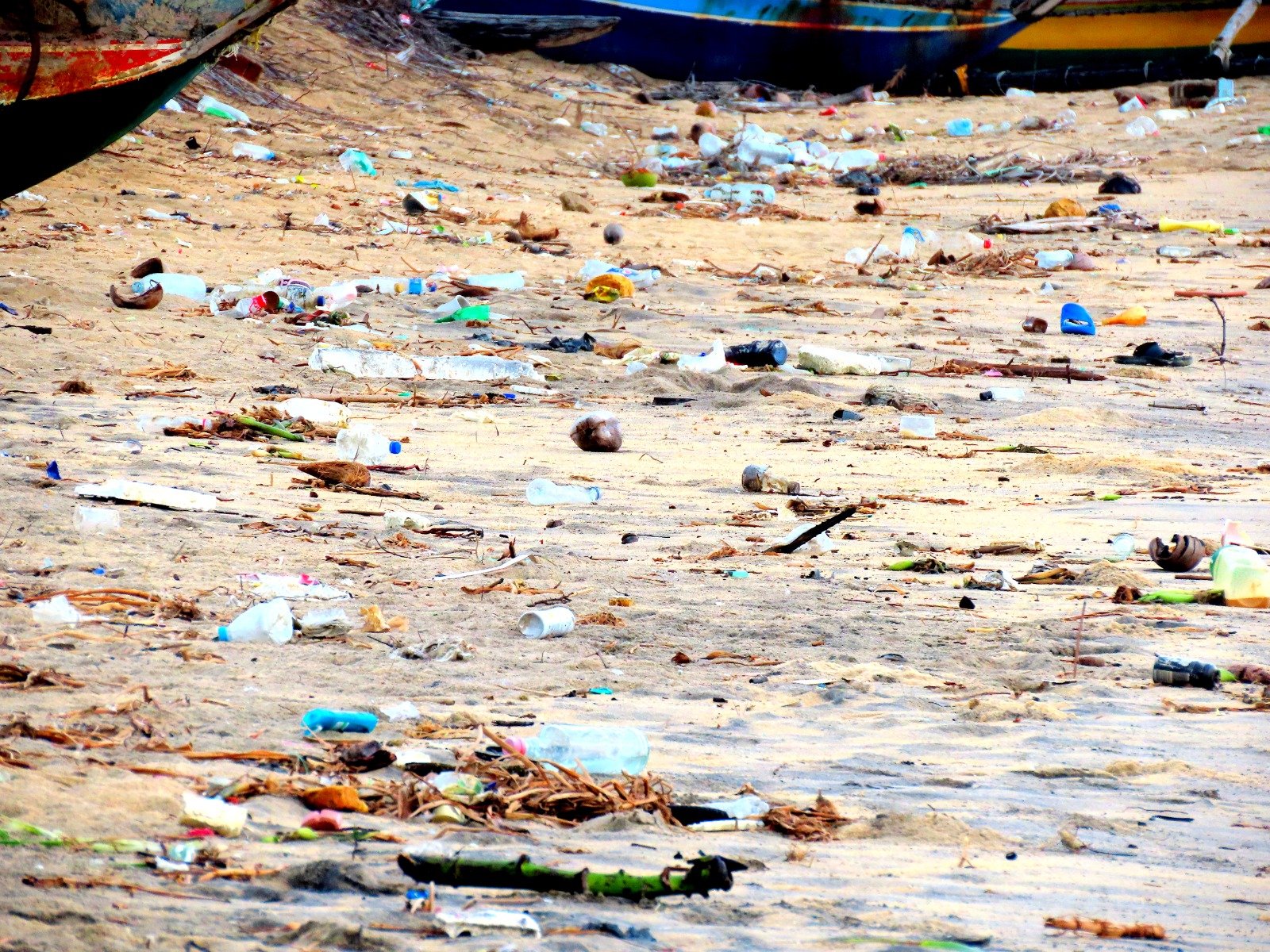 கடற்கரையோரங்களில் உள்ள பிளாஸ்டிக் கழிவுகள் அகற்ற கோரிக்கை