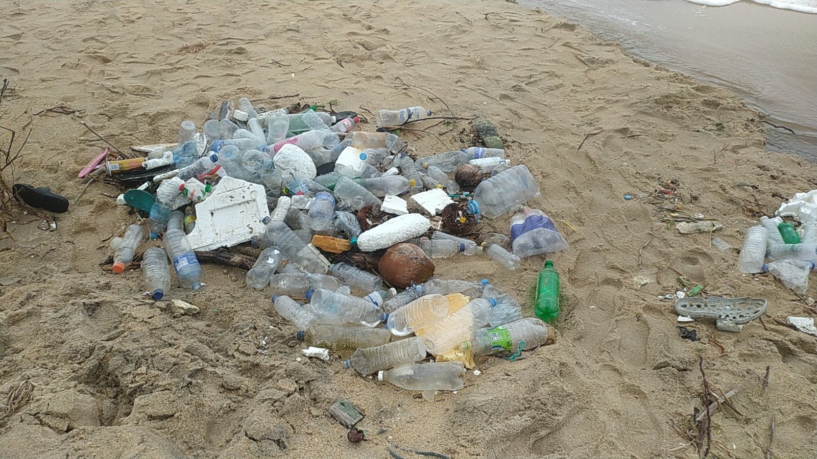 கடற்கரையோரங்களில் உள்ள பிளாஸ்டிக் கழிவுகள் அகற்ற கோரிக்கை