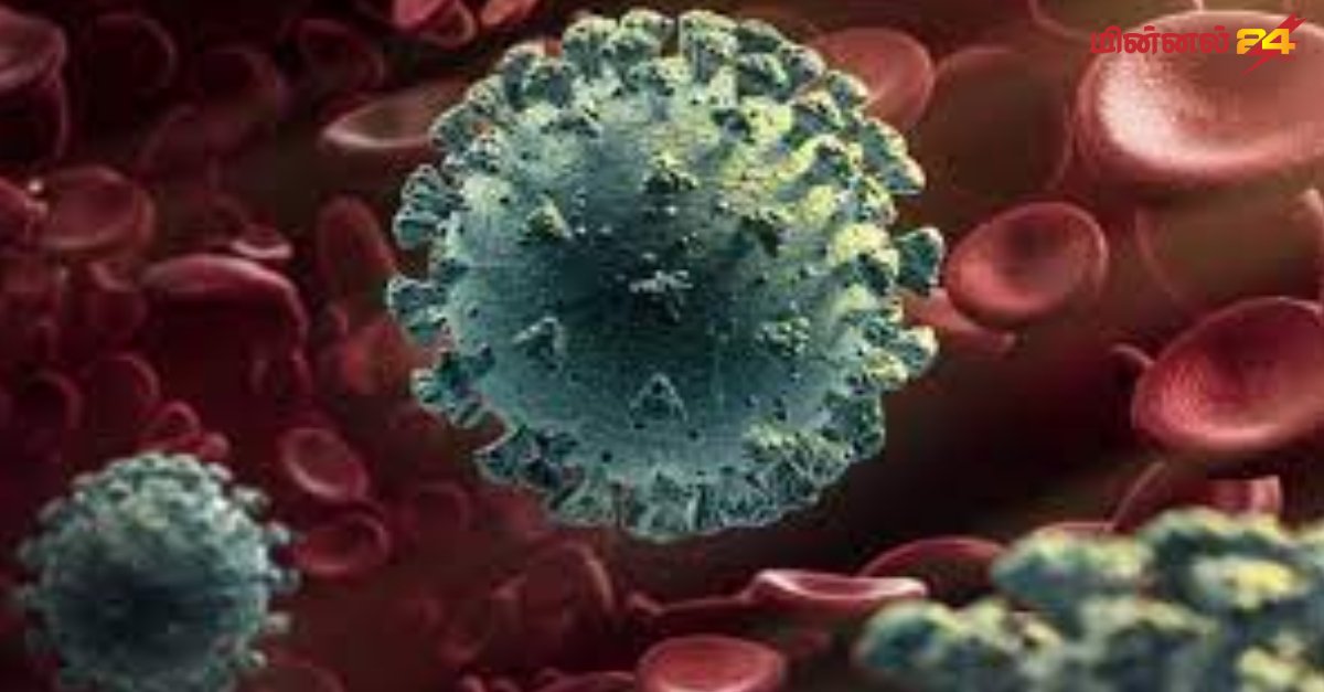 கோவிட்-19 வைரஸை விட 20 மடங்கு ஆபத்தான வைரஸ்