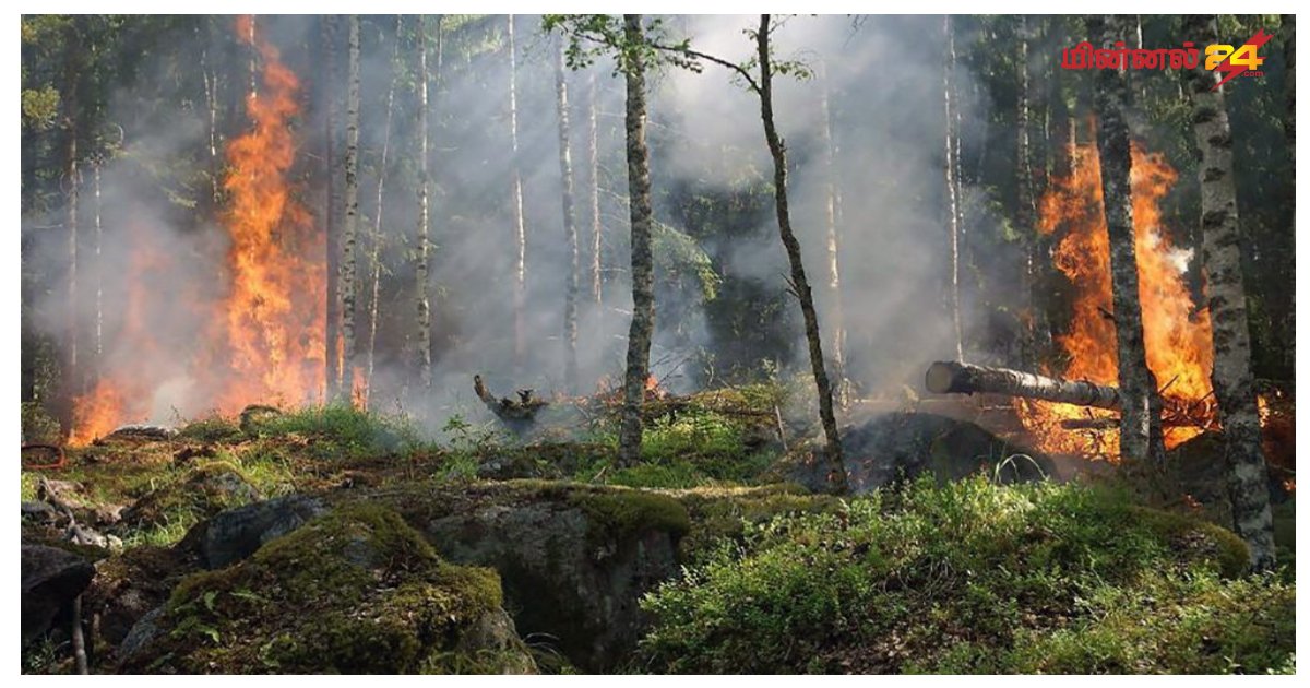 தீயினால் 10 ஏக்கர் காணி எரிந்து நாசம்