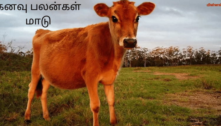 கனவு பலன்கள் மாடு