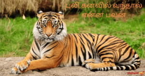புலி கனவில் வந்தால் என்ன பலன்