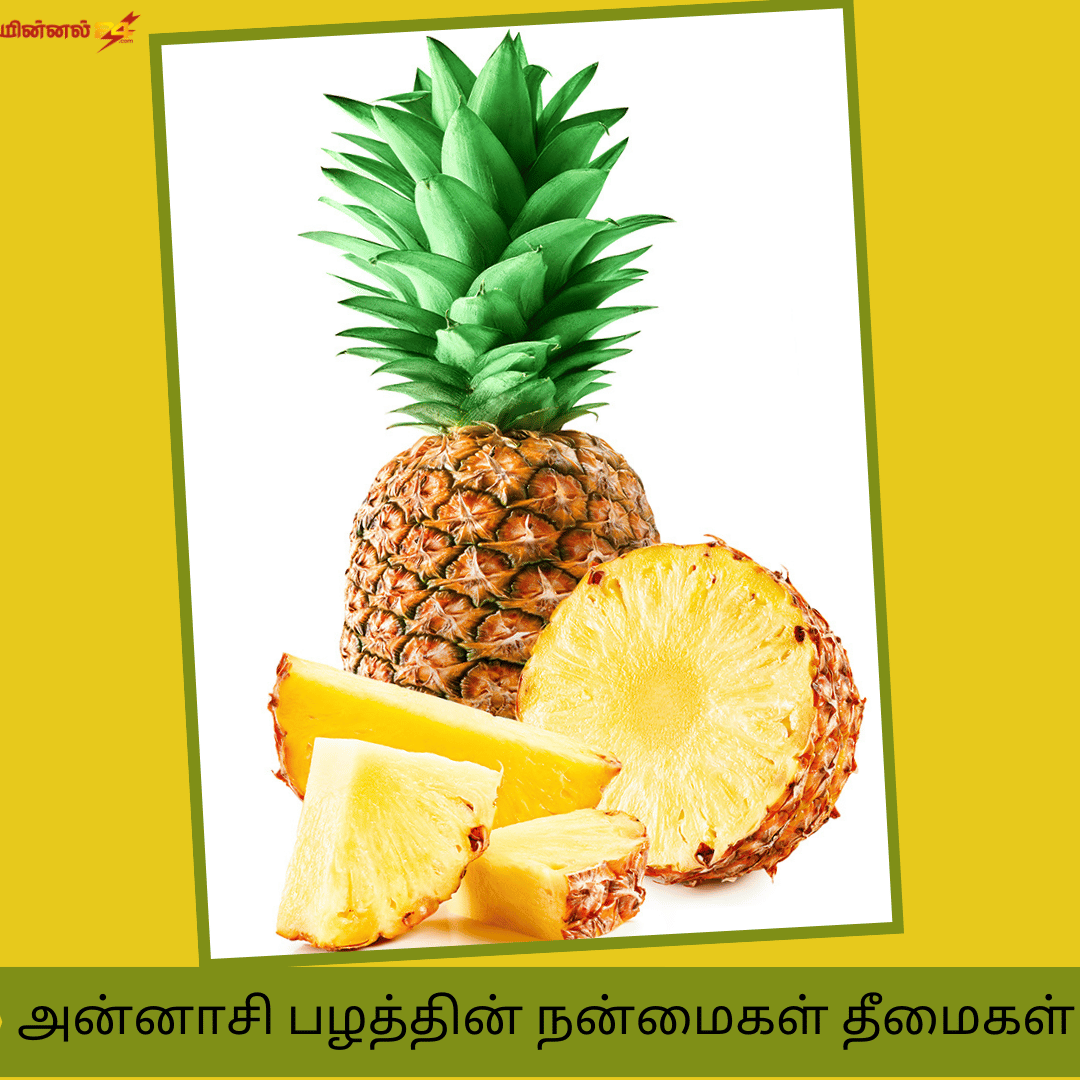 அன்னாசி பழத்தின் நன்மைகள் தீமைகள்