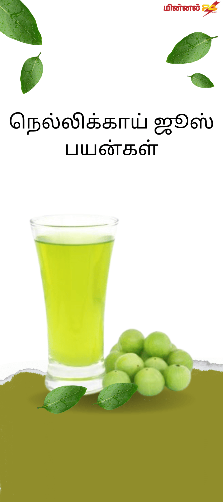 நெல்லிக்காய் ஜூஸ் பயன்கள்