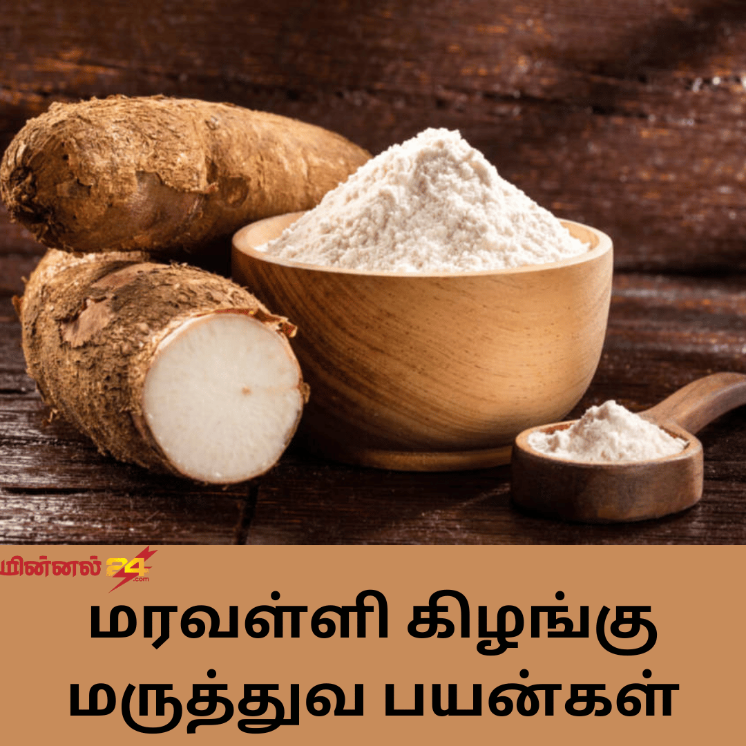 மரவள்ளி கிழங்கு மருத்துவ பயன்கள்