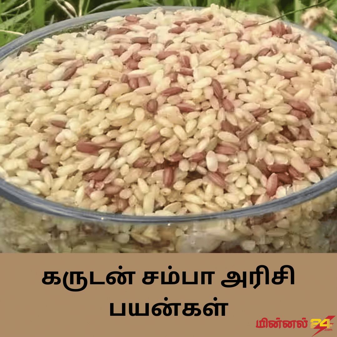கருடன் சம்பா அரிசி பயன்கள்
