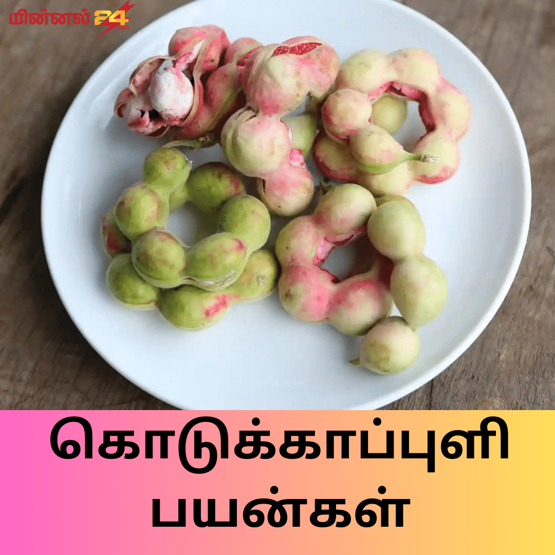 கொடுக்காப்புளி பயன்கள்