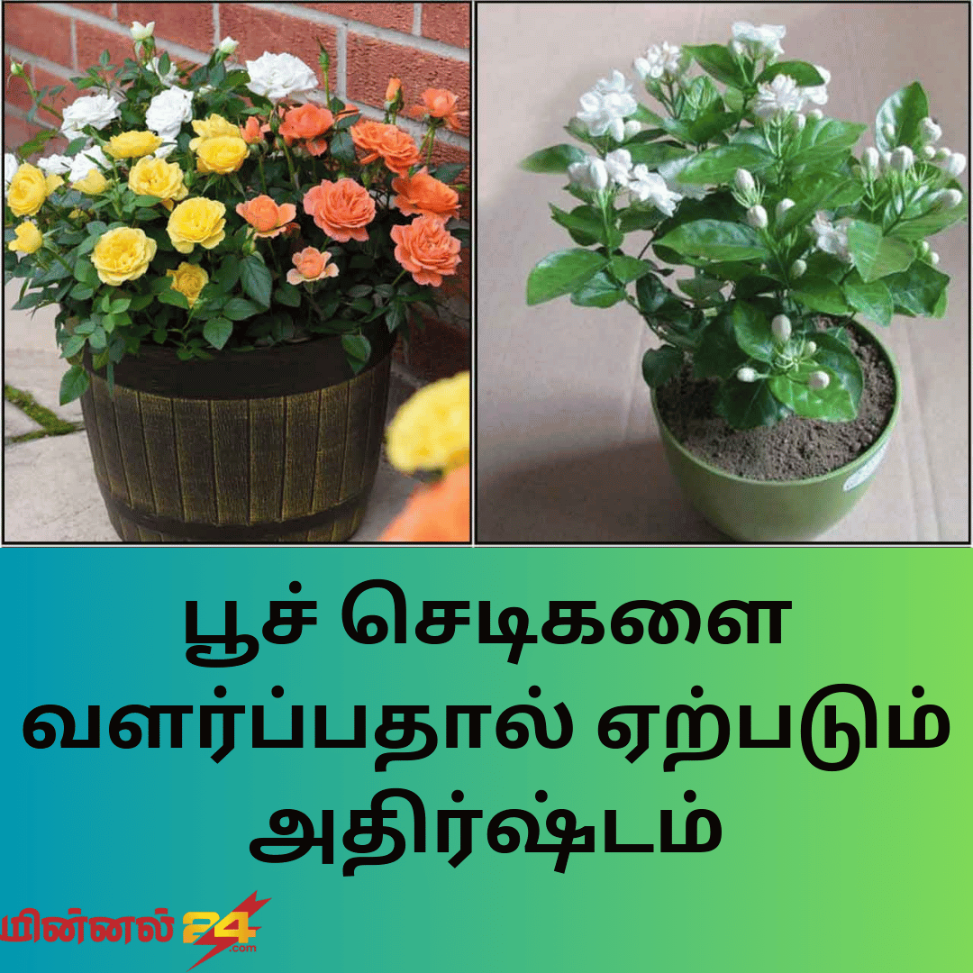 பூச் செடிகளை வளர்ப்பதால் ஏற்படும் அதிர்ஷ்டம்