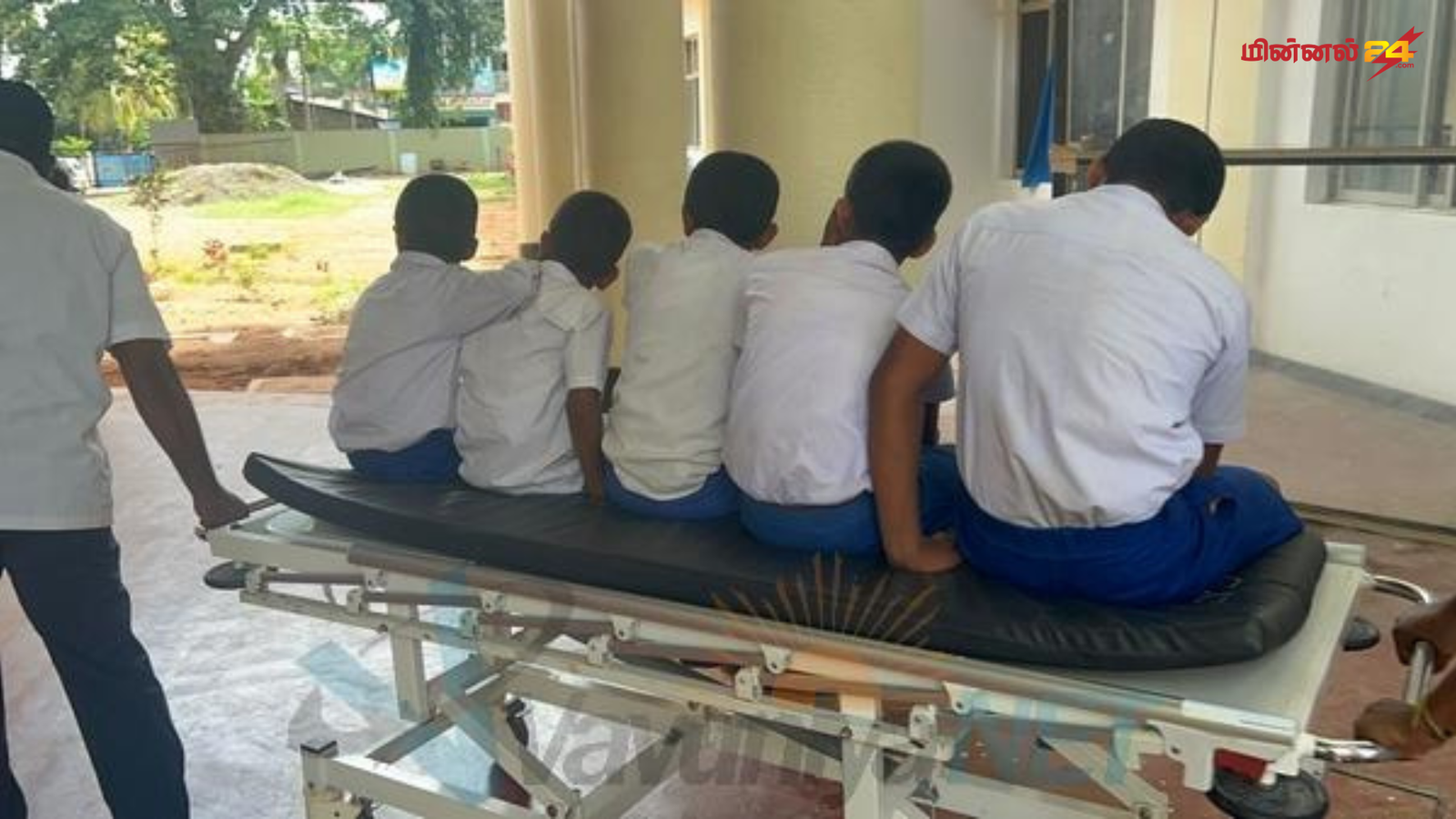 32 மாணவர்களும் ஆசிரியர் ஒருவரும் குளவி கொட்டுக்கு இலக்காகி வைத்தியசாலையில் அனுமதி