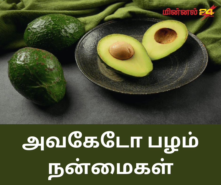 அவகேடோ பழம் நன்மைகள்