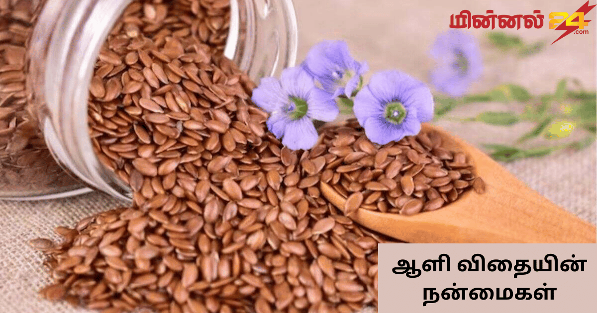ஆளி விதையின் நன்மைகள்
