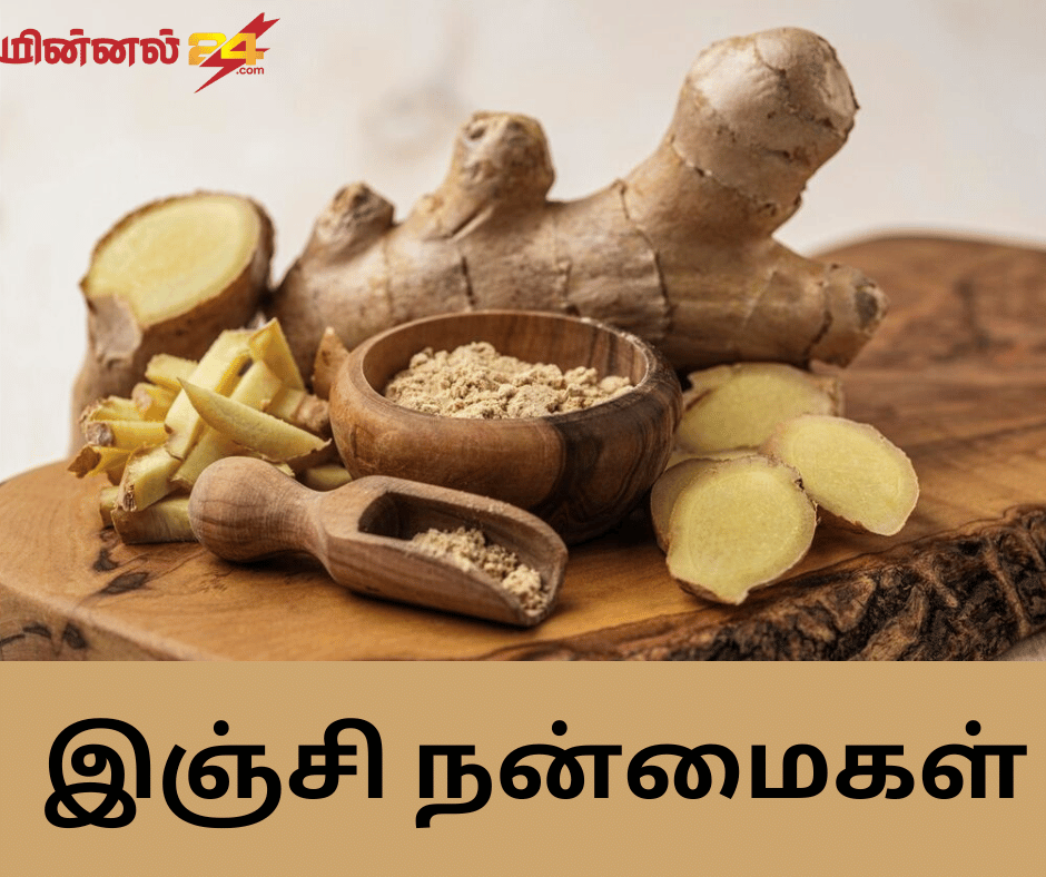 இஞ்சி நன்மைகள்