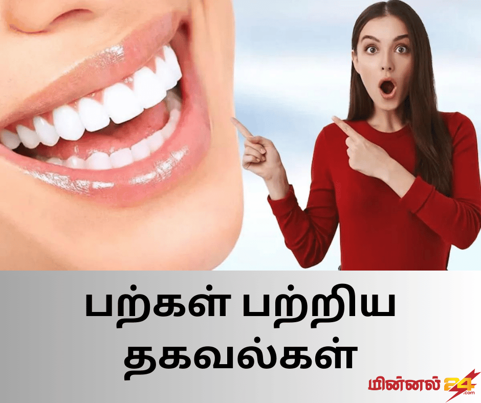 பற்கள் பற்றிய தகவல்கள்