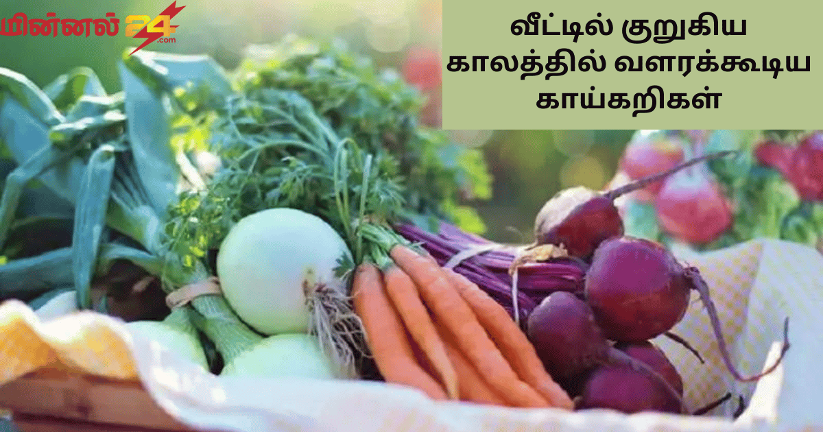வீட்டில் குறுகிய காலத்தில் வளரக்கூடிய காய்கறிகள்