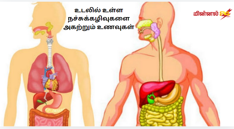 உடலில் உள்ள நச்சுக்கழிவுகளை அகற்றும் உணவுகள்