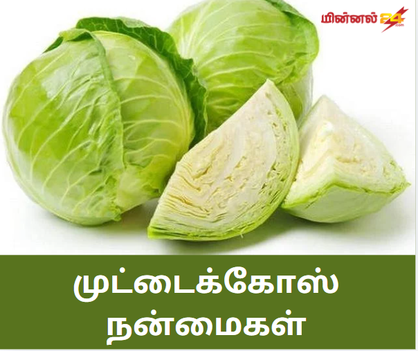 முட்டைக்கோஸ் நன்மைகள்