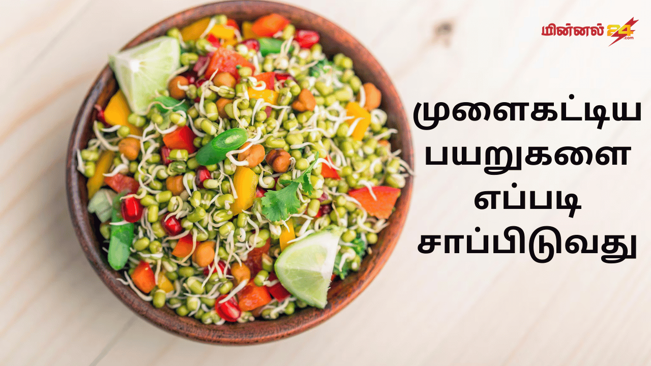 முளைகட்டிய பயறுகளை எப்படி சாப்பிடுவது