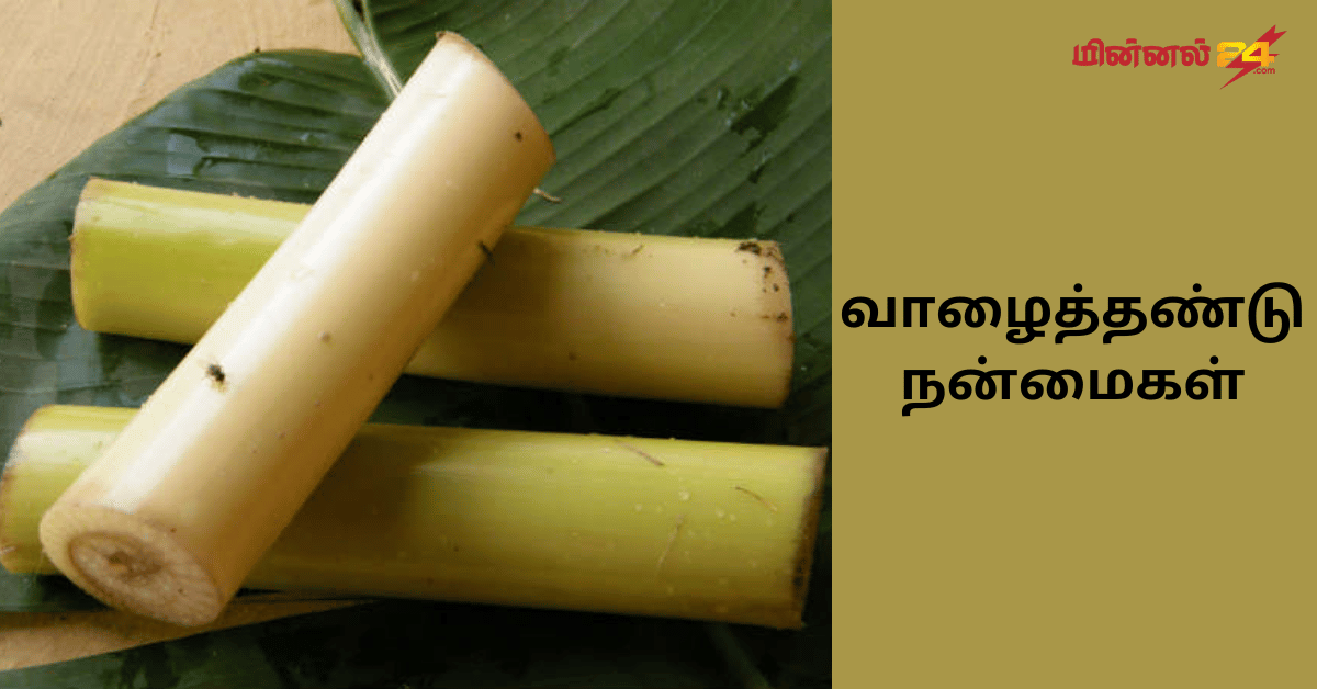 வாழைத்தண்டு நன்மைகள்