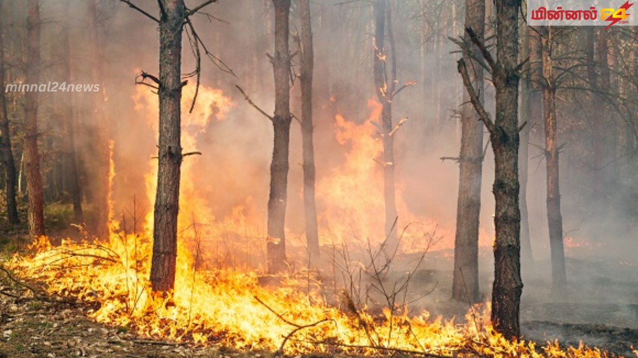 மலைநாடு செல்பவர்களுக்கு எச்சரிக்கை