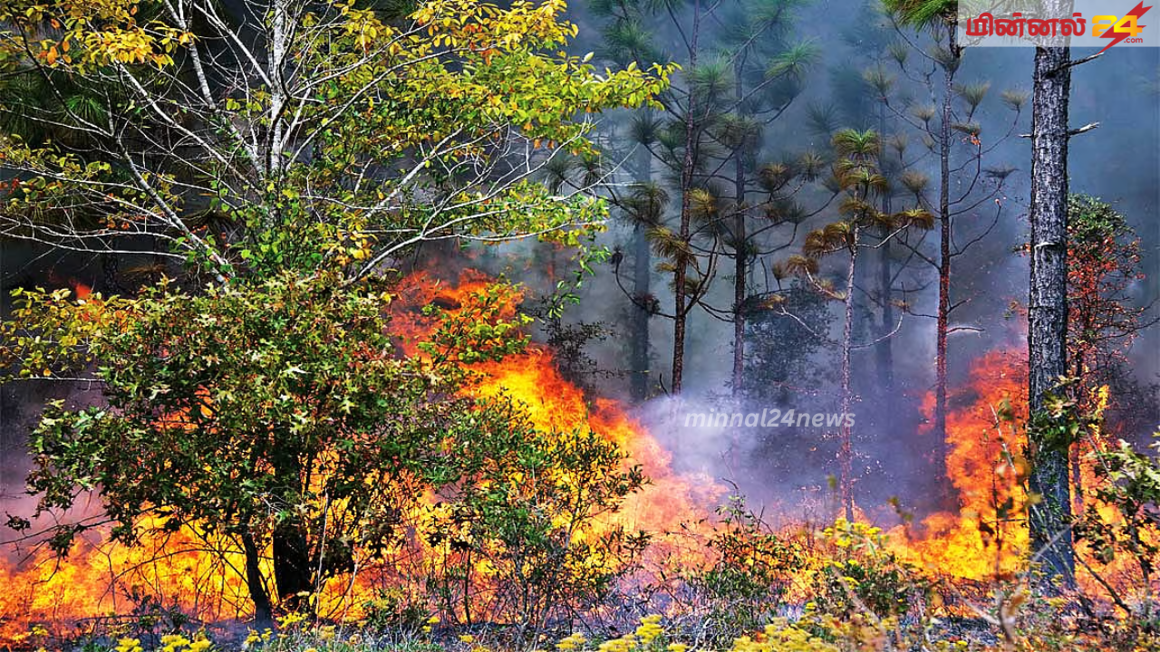 மலைநாடு செல்பவர்களுக்கு எச்சரிக்கை