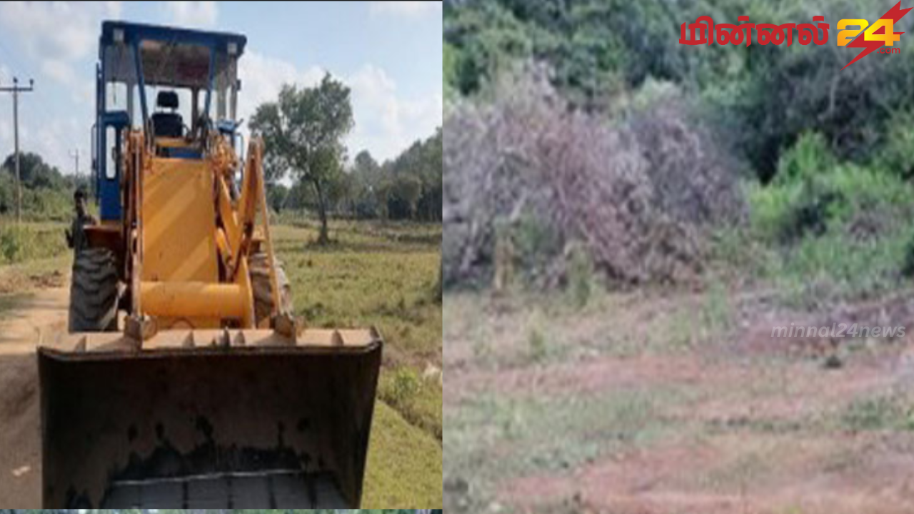 சட்டவிரோதமாக வனப்பகுதியை சுத்தம் செய்த சந்தேக நபர் கைது