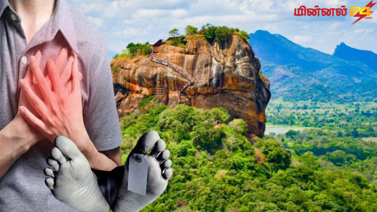 சீகிரியாவை பார்வையிட சென்ற சுற்றுலாப் பயணி உயிரிழப்பு