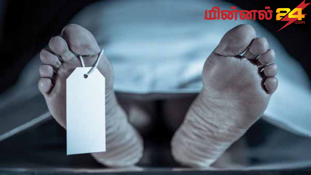 விபத்தில் நெதர்லாந்து பெண் உயிரிழப்பு