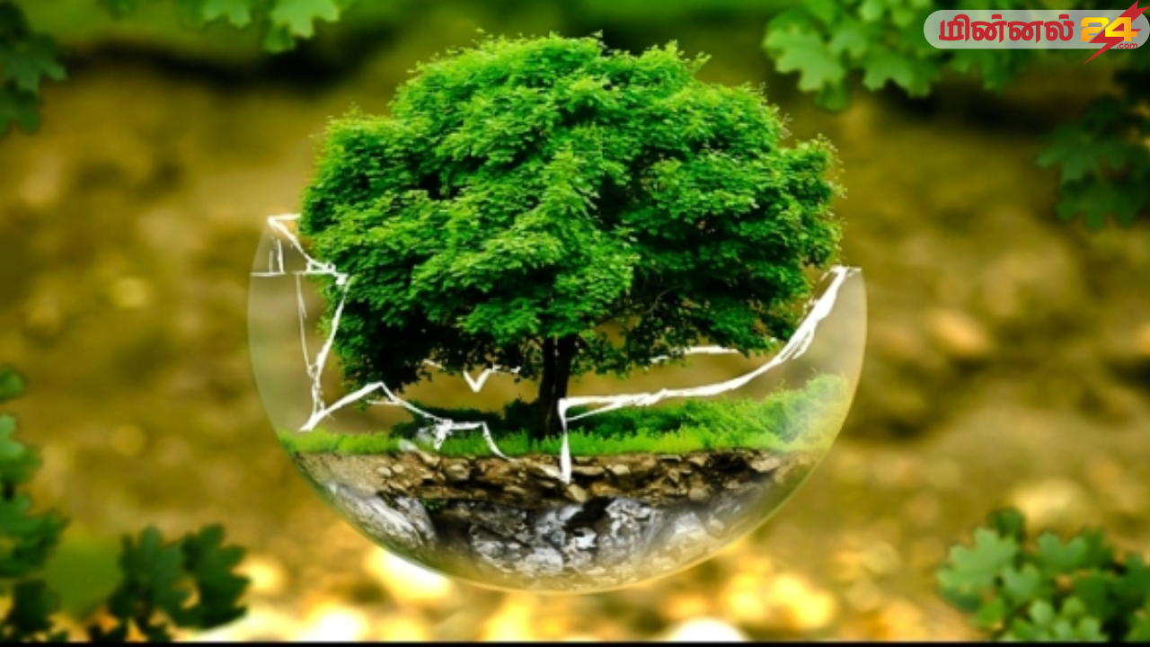 சர்வதேச காடுகள் தினம்