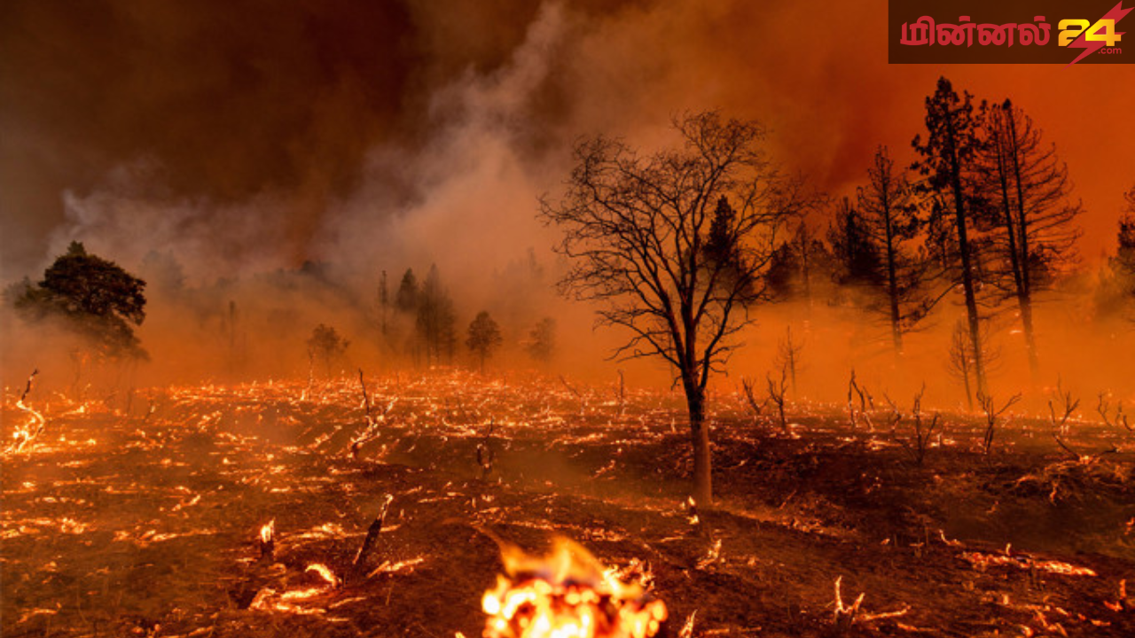 அமெரிக்காவில் பரவும் காட்டுத்தீ