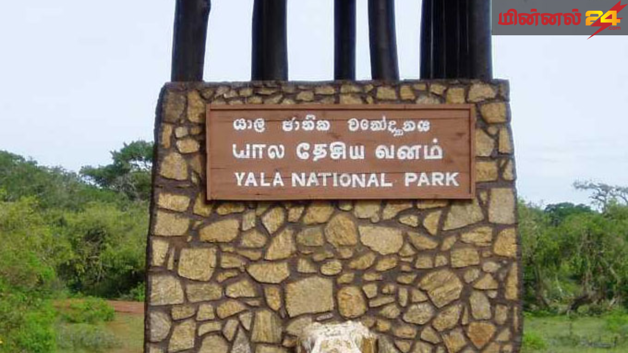 யால தேசிய பூங்காவின் சில வீதிகள் மீண்டும் திறக்கப்படவுள்ளன