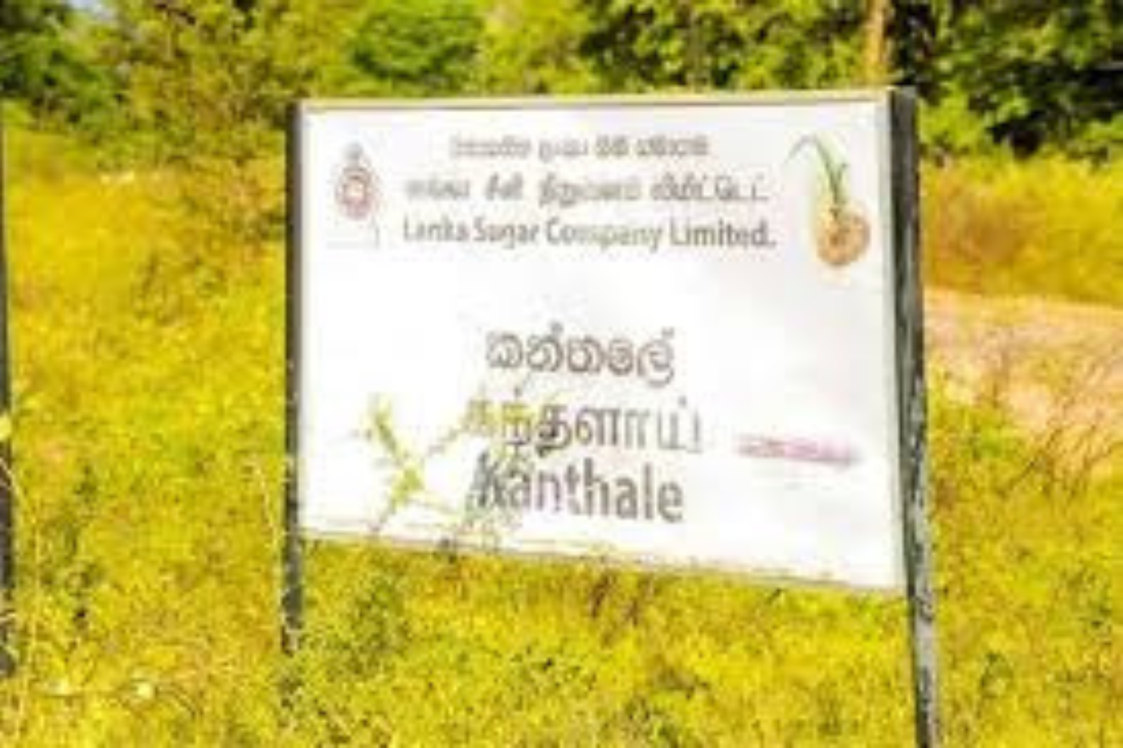 கந்தளாய் சீனி தொழிற்சாலைக்கு முன்னால் விவசாயிகள் ஆர்ப்பாட்டம்