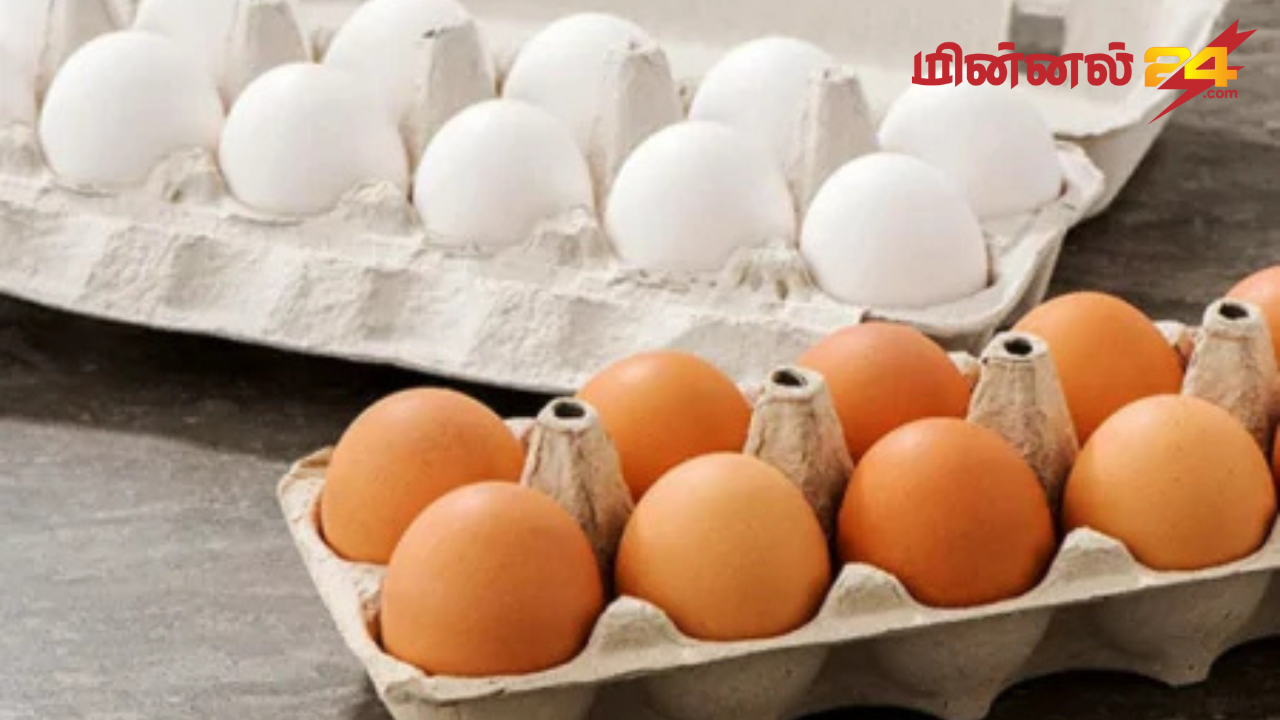 முட்டை வருமானத்திற்கு 18 சதவீத வற் விதிப்பு