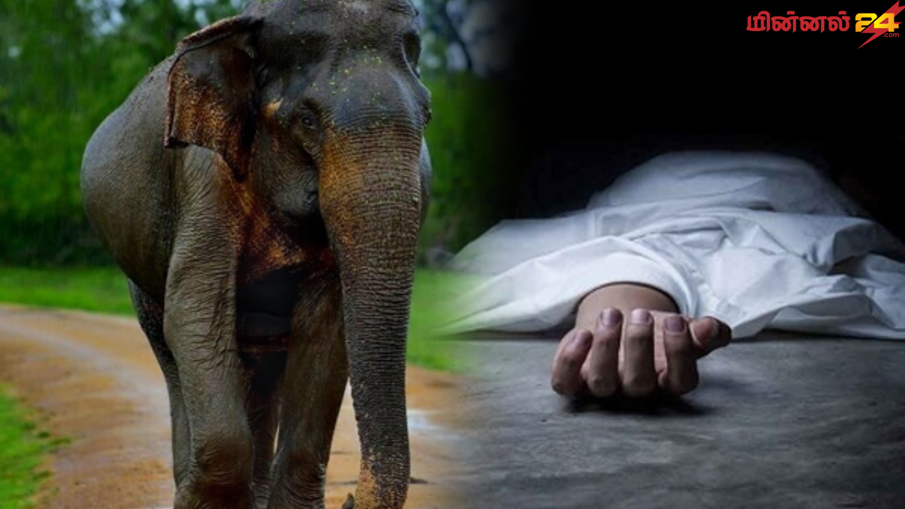 பதுளை கரமெட்டிய வனப்பகுதியில் காட்டு யானை தாக்கி ஒருவர் உயிரிழப்பு