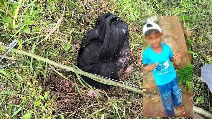 யானை தாக்கி 8 வயது சிறுவன் உயிரிழப்பு