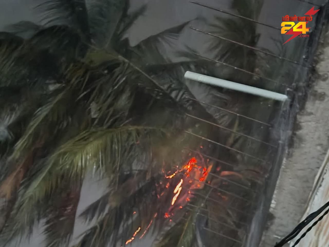 ஓட்டமாவடியில் மின்னல் தாக்கி தென்னை சேதம்