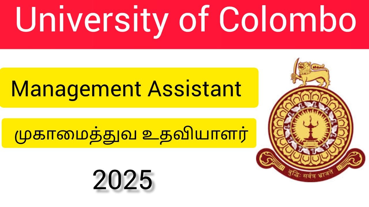 Management Assistant Vacancies 2025