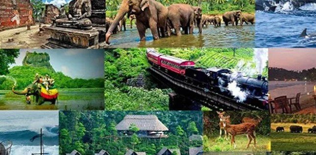 18 நாட்களில் 80 ஆயிரம் சுற்றுலாப் பயணிகள் வருகை