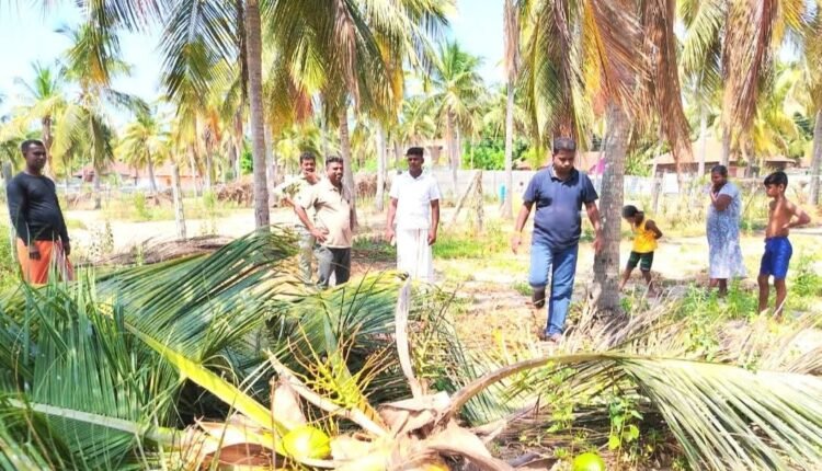 மட்டக்களப்பில் சில காட்டு யானைகள் உட்புகுந்து அட்டகாசம்