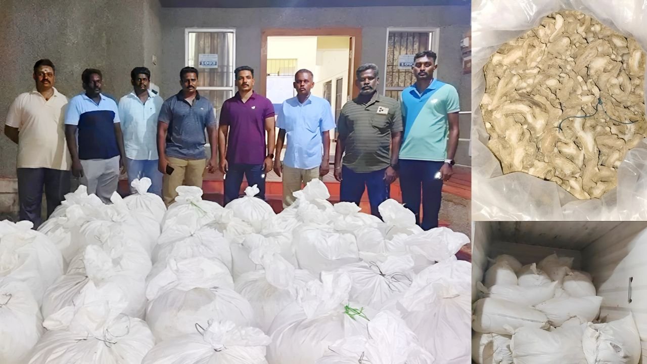 இலங்கைக்கு கடத்த இருந்த சுமார் ஒரு டன் எடை கொண்ட காய்ந்த இஞ்சி வாகனத்துடன் பறிமுதல்