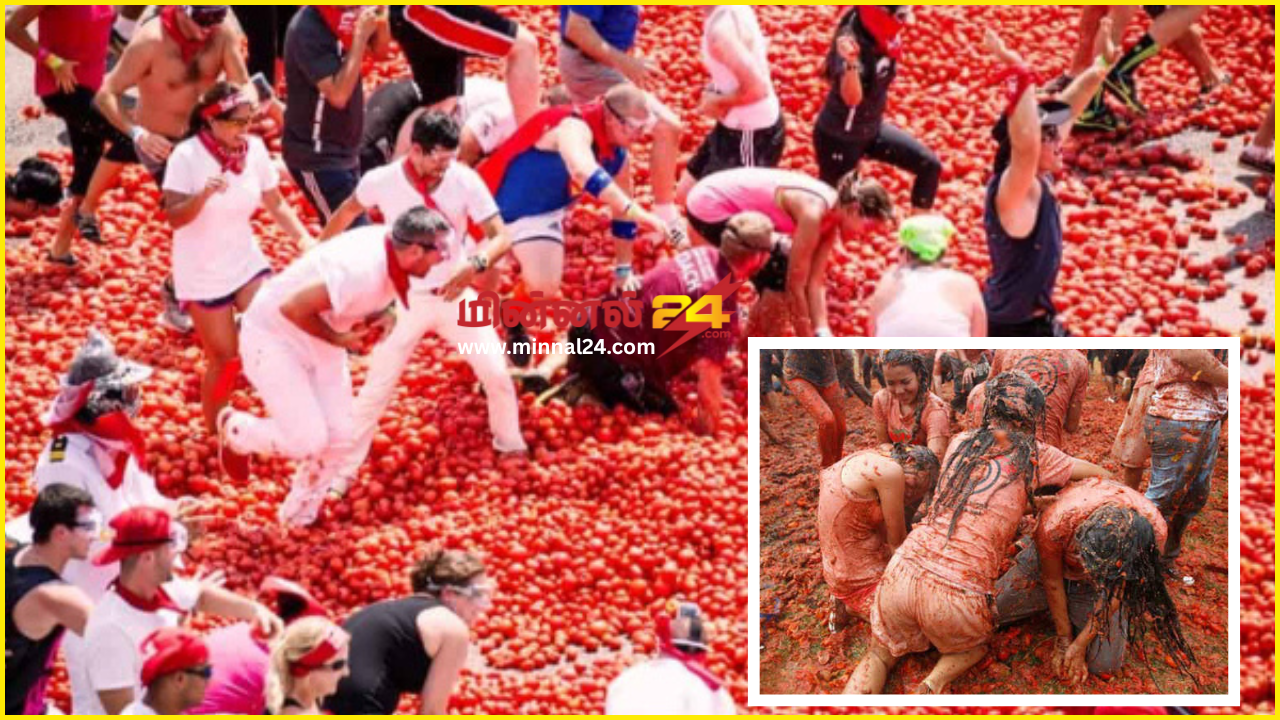 ஸ்பெயினில் கோலாகல தக்காளி சண்டை திருவிழா