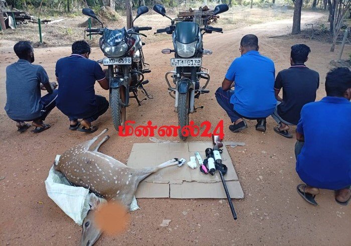 மான் வேட்டையில் ஈடுபட்ட ஐவர் கைது