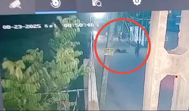 பொரலஸ்கமுவ துப்பாக்கிச் சூடு : 2 சந்தேக நபர்கள் கைது!