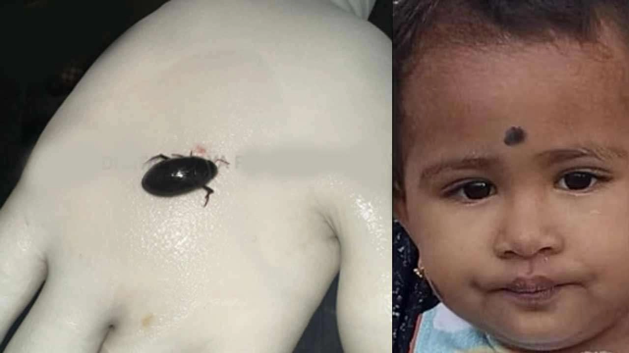 தரையில் ஊர்ந்து சென்ற வண்டை எடுத்து விழுங்கிய குழந்தை உயிரிழப்பு!
