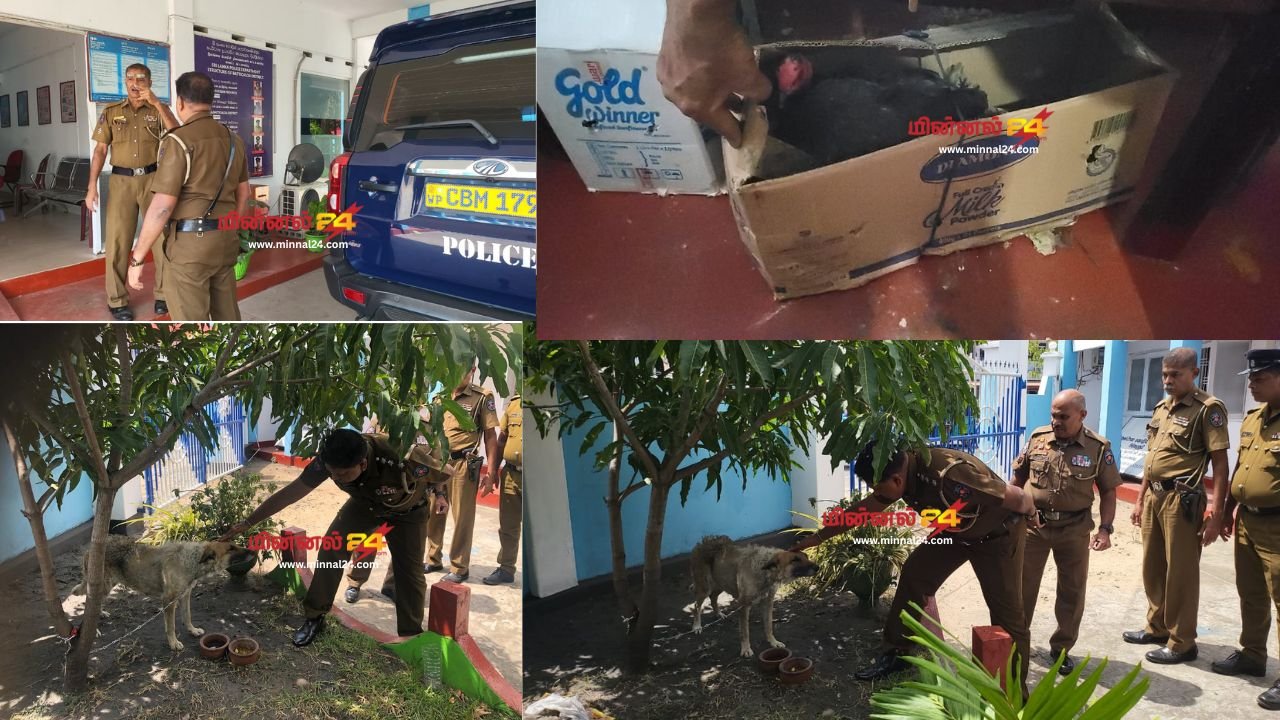 மட்டக்களப்பில் வைத்தியரின் வீட்டில் கோழிகள் மற்றும் நாயை திருடிய பிரபல திருடன் போதைப்பொருளுடன் கைது!