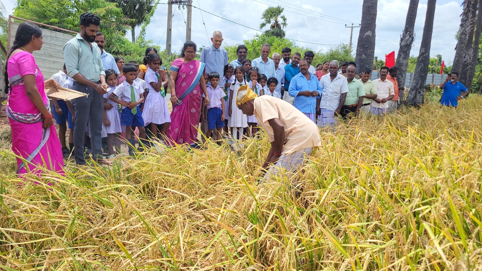 புதிய நெல் வர்க்கம் பரீட்சார்த்த செய்கையின் அறுவடை விழா