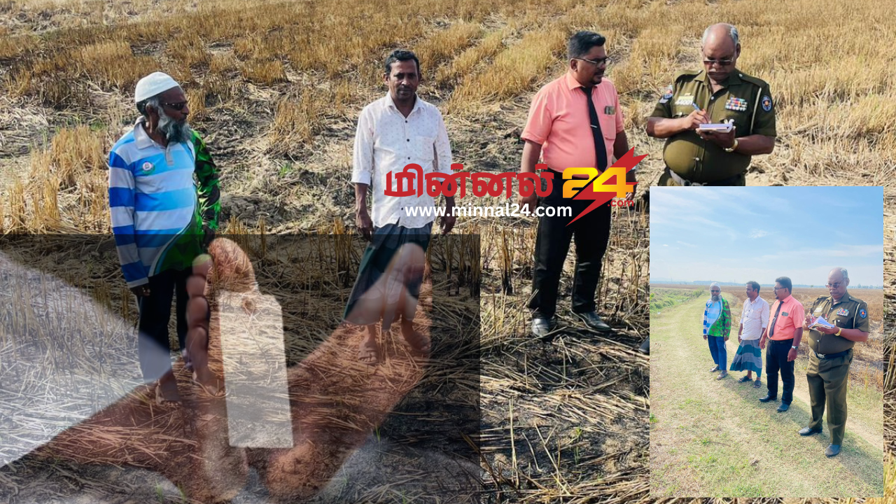 சம்மாந்துறையில் விவசாயி மரணம்