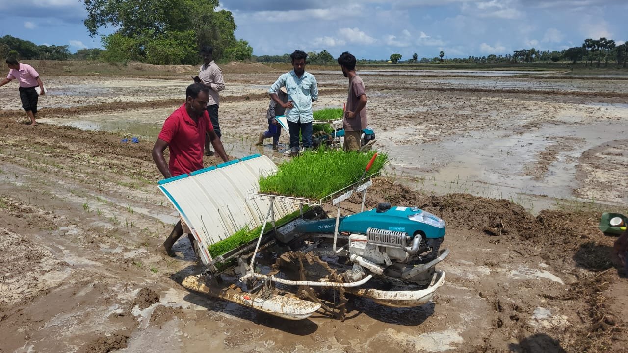 கிளிநொச்சியில் இயந்திர நாற்றுநடுகை